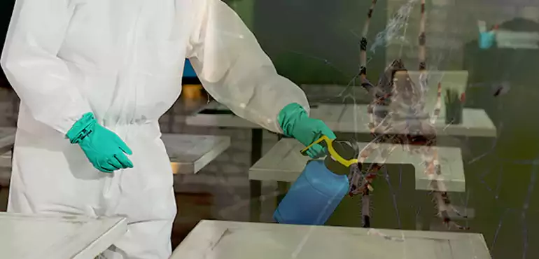 Why Buyers Still Want Homes With Pest Infestations in Oceanside, CA?