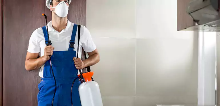 Why Oceanside Homeowners Choose Us When Pests Make Selling Difficult